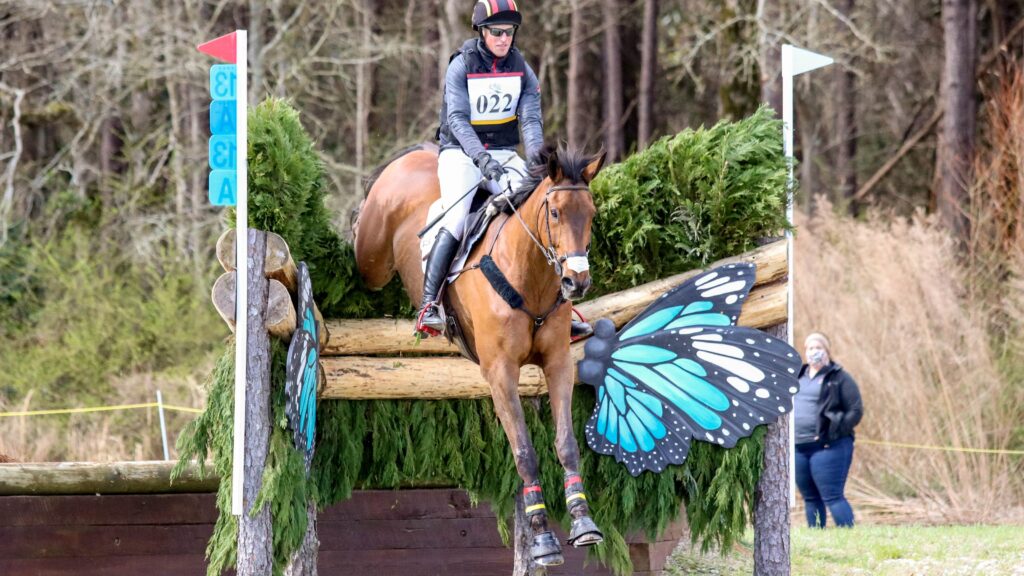 Horse and rider coming down on a jump on a cross country course. Jump has blue butterflies