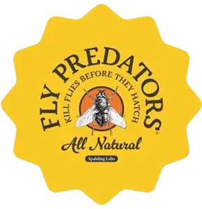 Fly Predators