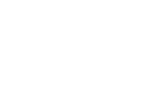 Practical Horseman
